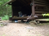 Trout Pond lean-to
